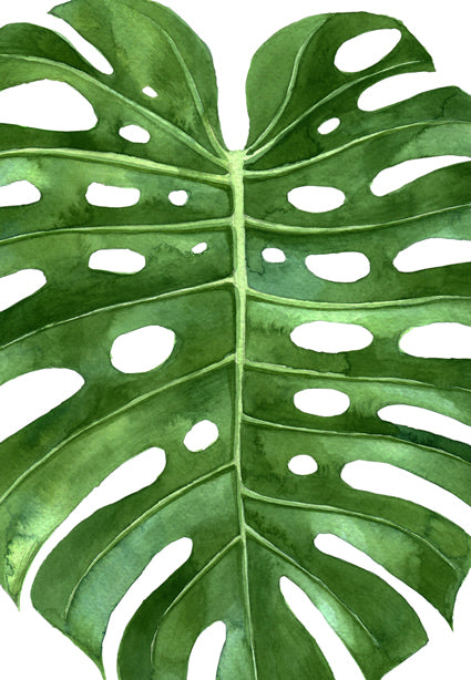 Painting Nature Leaf