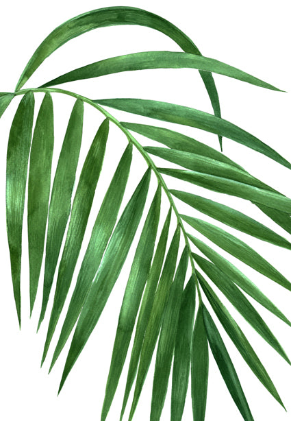 Painting Nature Bamboo Leaf