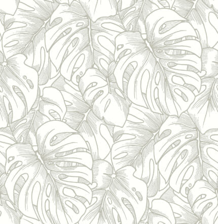 Wallpaper S
