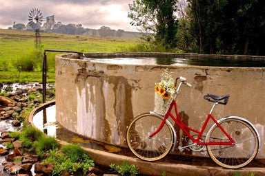 Painting Vintage Outdoor
