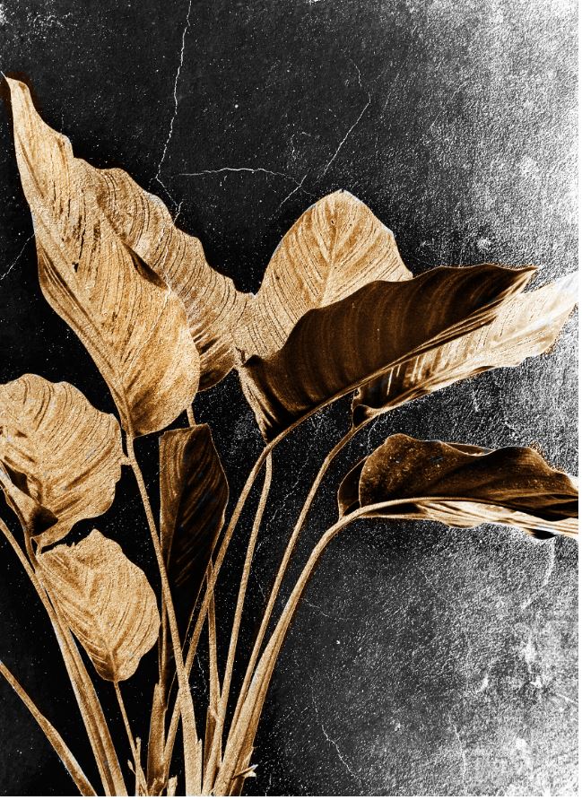 Painting Brown Leaf Nature Art