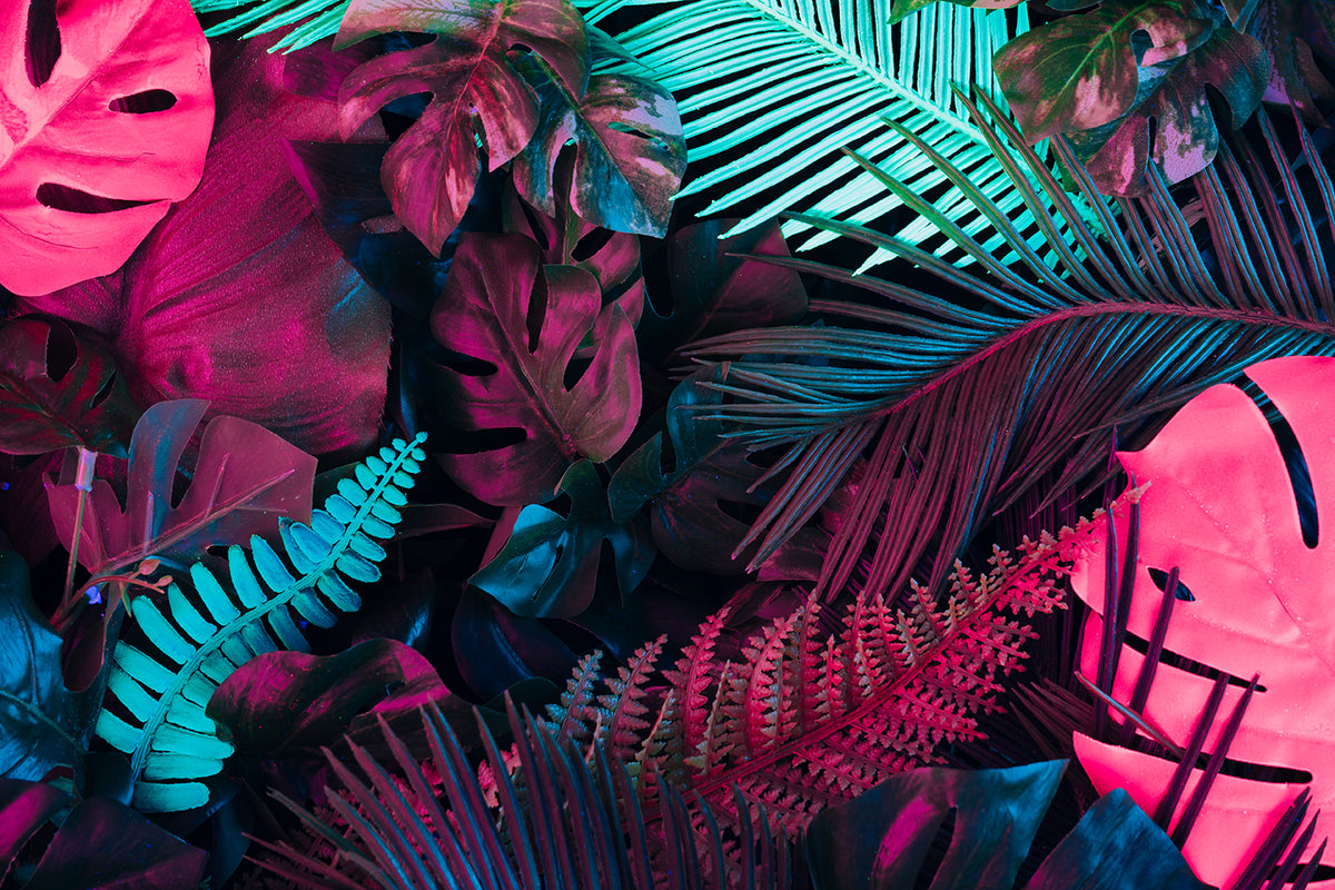 Painting Wild Nature Art